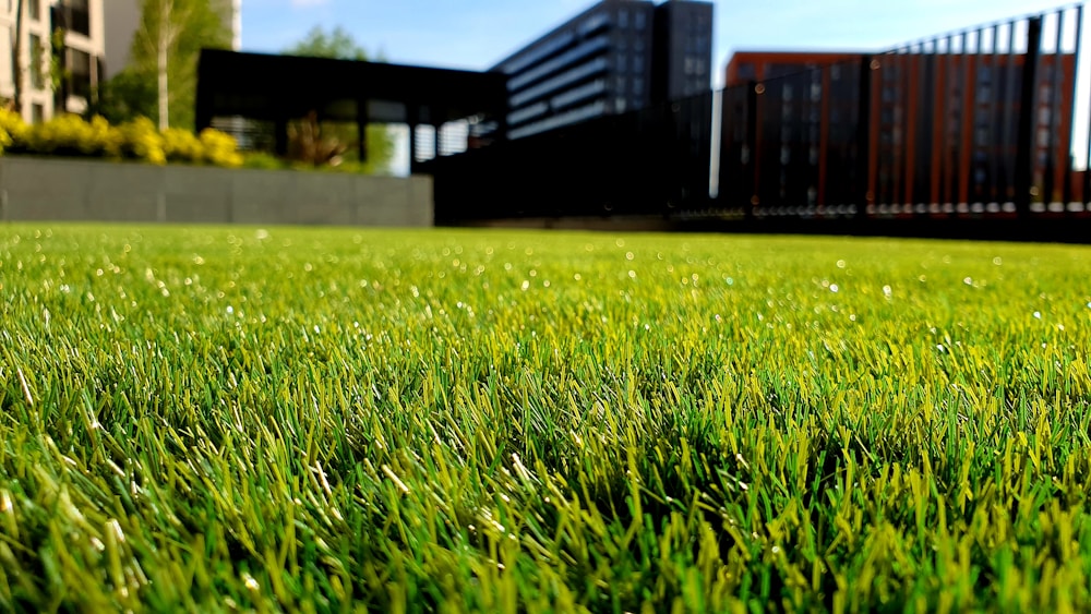 Luxury garden landscape design